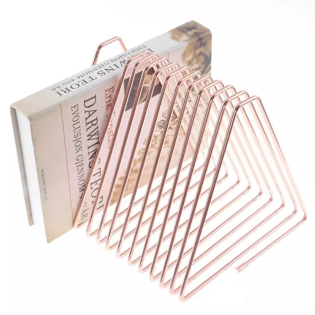 Decorative Holder Bookshelf Book Organizer Rose Gold Color Magazine Holder