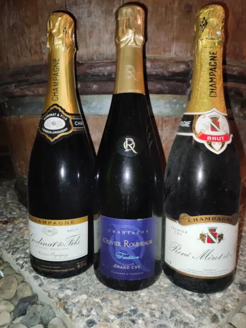3 bouteilles Champagne