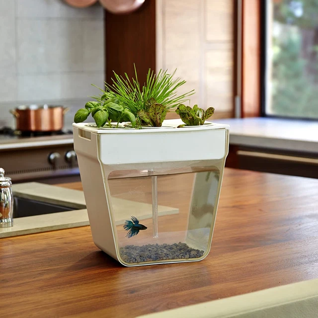 Aqua Farm Self Cleaning Fish Tank Grows Food Fish Mini Aquaponic Beta Tank