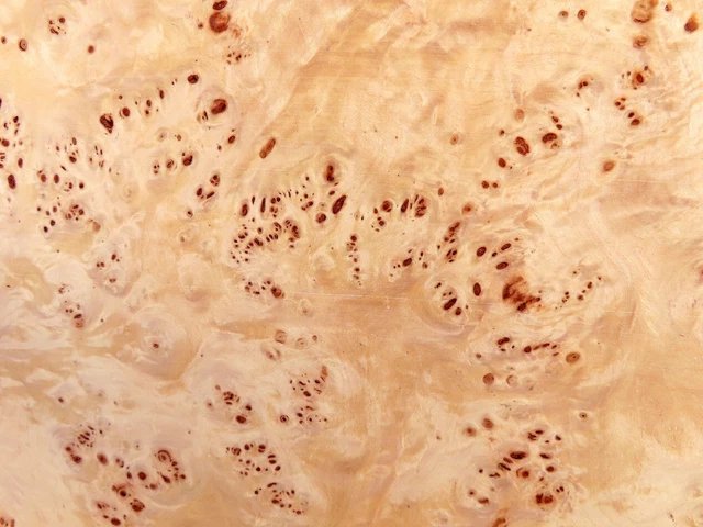18 x FURNIER PAPPEL MASER KNOLLE INTARSIE Küche Möbel HOLZ Edelholz Design Brett 18 x FURNIER PAPPEL MASER KNOLLE INTARSIE Küche Möbel HOLZ Edelholz Design Brett