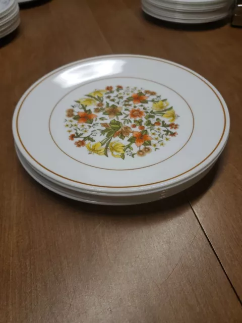 Set of 6 Corelle Corning 8 1/2" INDIAN SUMMER Salad Plates Euc + ( Bin 65 )