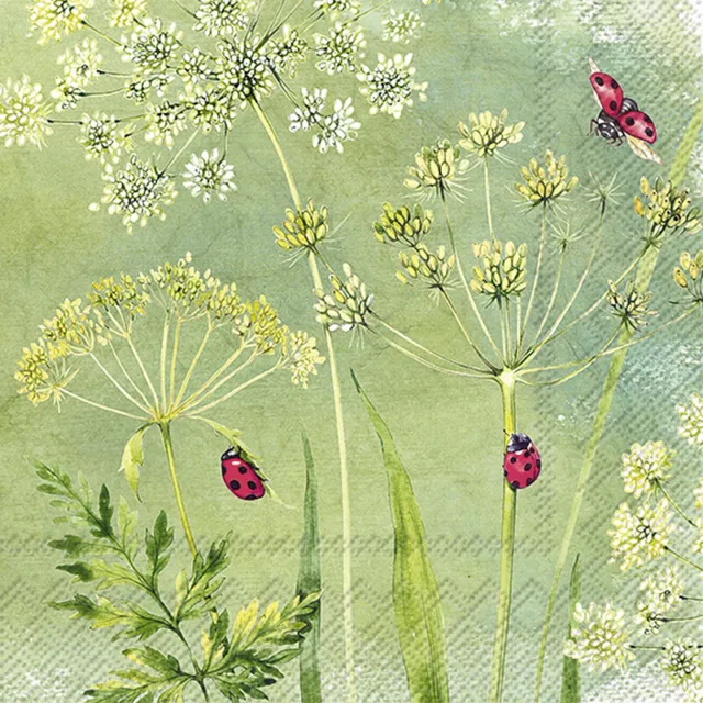 3 Paper Napkins For Decoupage Scrapbooking Craft Lunch Serviettes Garden Ladybug
