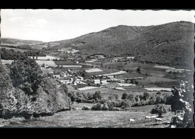 LE MONT BEUVRAY (71) VILLAS & FARMS, CATTLE in PATURAGE in 1955