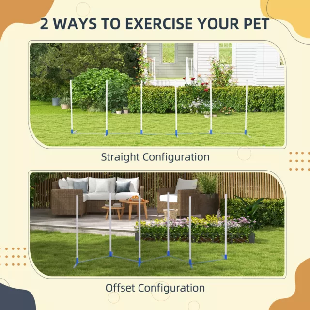 Dog Weave Pole Set Agility Starter Kit Animal Outdoor Exercice Entraînement Set 3