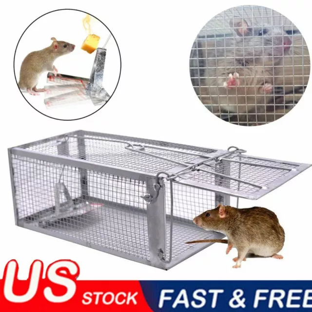 Live Humane Cage Trap for squirrel chipmunk mice rodent No Kill small animals