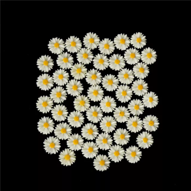 50pcs white daisy flower resin flatback cabochon DIY jewelry decoration KAB0U-EW