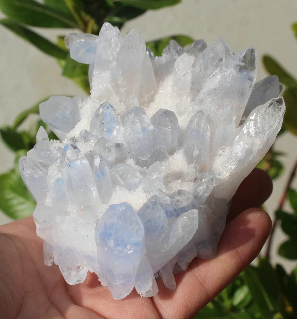 530g New Find Blue Phantom QUARTZ Crystal Cluster Specimen