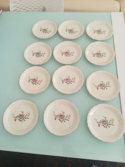 12 Assiettes À Dessert Breveté Ceranord ST Amand Semi Vitrifié