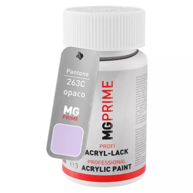 Pantone 263C Purple opaco Stilo di ritocco da 50 ml ad asciugatura rapida