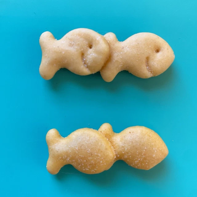 rare goldfish cracker doubled PERFECTLY!