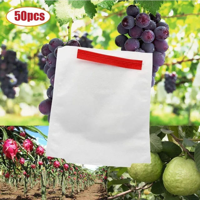 Borsa in rete per piante da giardino frutta 50 pz rete protettiva contro insetti