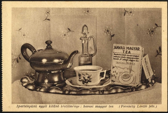 Rumänien Ungarn 1940 GR.MURES ERDÉLYRÉSZI HANGYA SZÖVETKEZET Fantastisches ALBUM RR 9