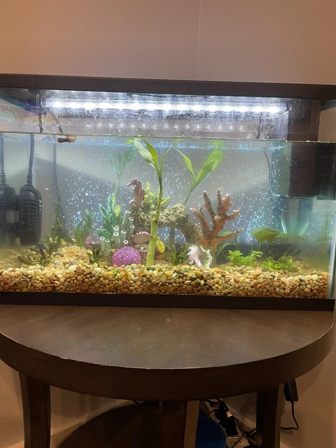 Top Fin LED Bubble Wall Aquarium Kit (used Only 2 Months, Have Receipt)