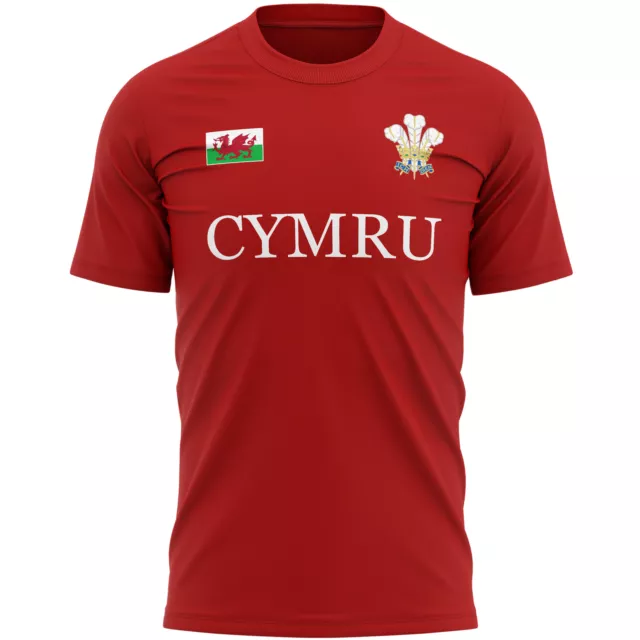 Cymru Flag Badge T Shirt Gift Rugby Him Welsh Feathers Ideas Mens