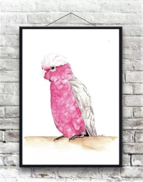 Watercolour Galah Print Australian bird art bird prints nursery artwork pink