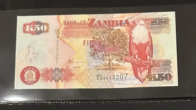 Zambia 50 Kwacha Big Bird Bank Note Look!