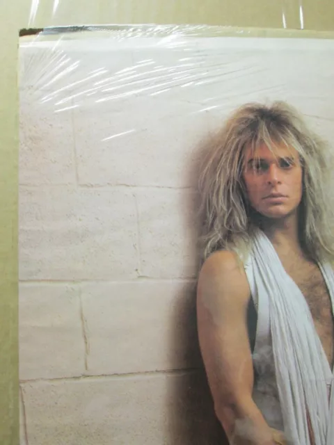 Vintage Poster David Lee Roth VAN HALEN singer rock 1980's Inv#2647 3