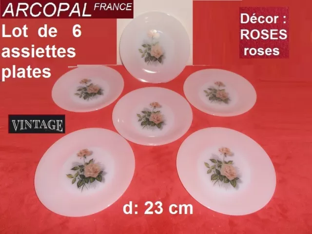 ARCOPAL FRANCE Vintage Lot de 6 ASSIETTES plates  23 cm Décor Fleurs ROSES roses