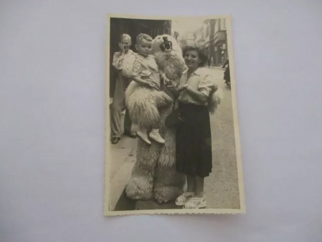 Photographie Ancienne 1950 Enfant Et Mascotte Ours En Peluche