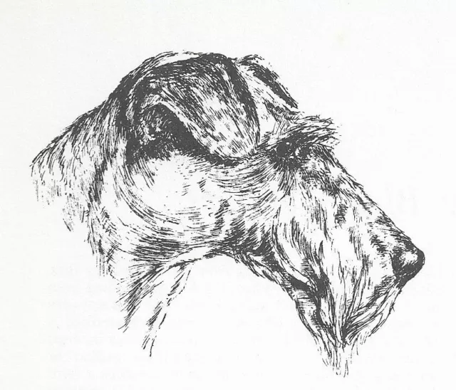 Irish Terrier #1 - CUSTOM MATTED - 1963 Vintage Dog Art Print 0507 CLD