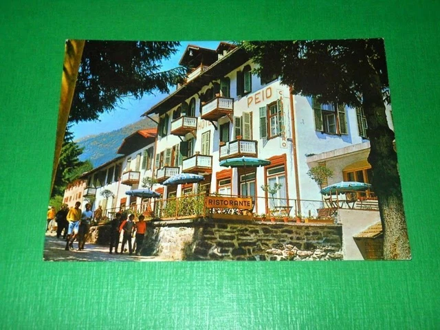 Cartolina Antica Fonte Pejo - Grande Albergo Pejo 1960 ca.