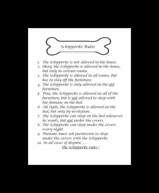 Schipperke "Rules" - CUSTOM MATTED - Dog Art Print : GIFT