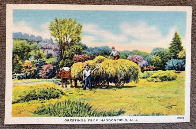  Rural Haystack Scene Greetings from Haddonfield NJ Vintage Linen Postcard