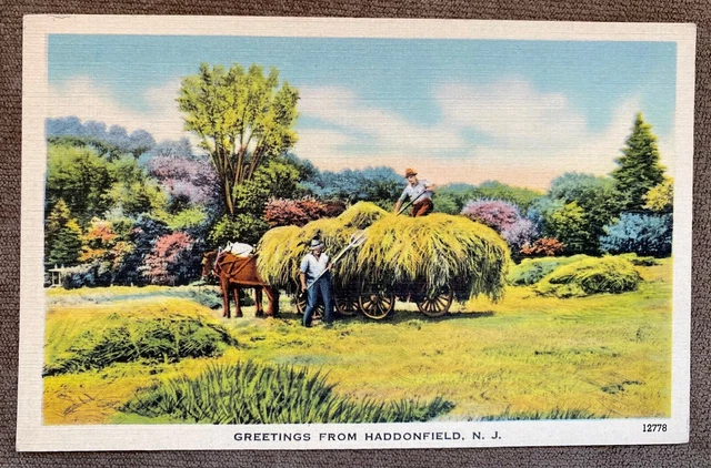  Rural Haystack Scene Greetings from Haddonfield NJ Vintage Linen Postcard
