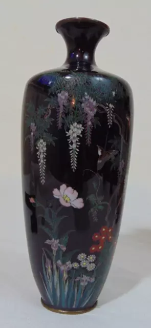 19th C Black Meiji  Japanese Cloisonne Vase Flower Wisteria Birds