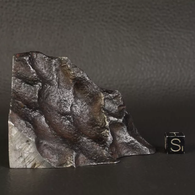 TOP Météorite Gibéon de 412,13 g End-Cut Octaédrite IVA Regmaglyptes #D64-1 3