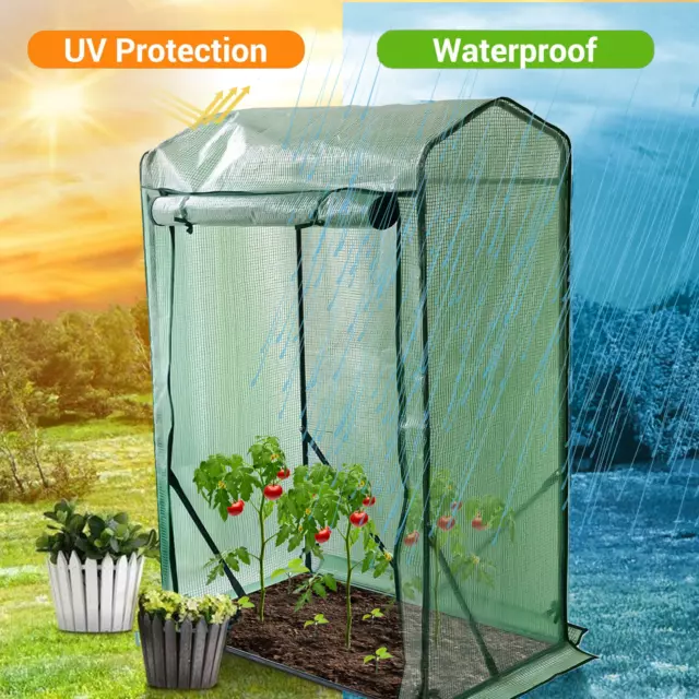 Weatherproof Tomato Greenhouse, Small, 2 KG - 150 x 100 x 50 cm