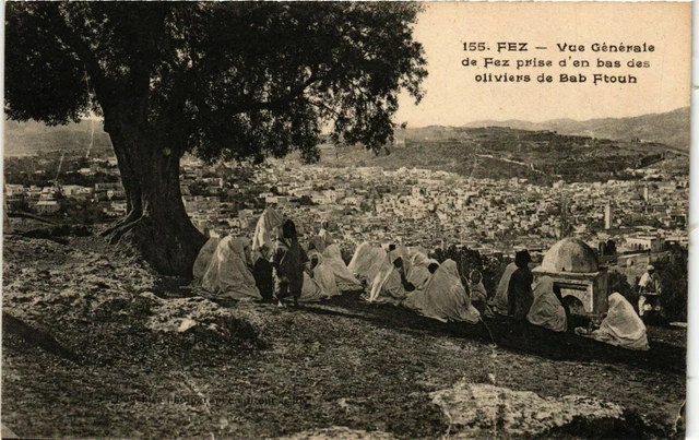 CPA AK MAROC FEZ - Vue générale prise d'en bas des oliviers (219293)