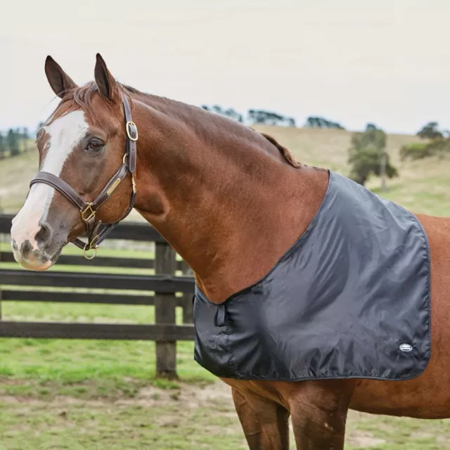 Weatherbeeta Satin Shoulder Guard | Horses & Ponies