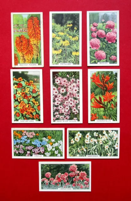 GALLAHER 9 VINTAGE 1938 CIGARETTE CARDS GARDEN FLOWERS  FOR No's  SEE PICTURES