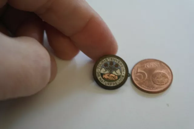Pin Anstecknadel Badges TOURISTENVEREIN DIE NATURFREUNDE vintage