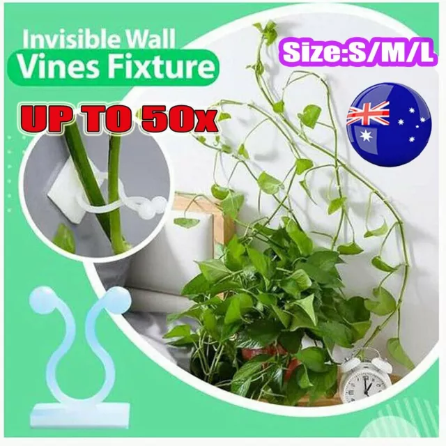 Invisible Plant Climbing Wall Clip Sticky Hook Vines Fixing Rattan Clips FZ