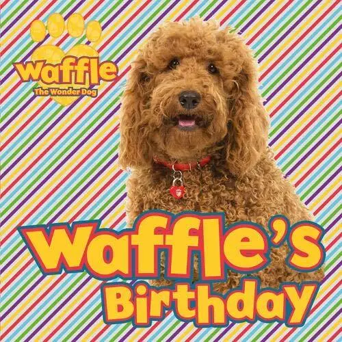 Waffles Birthday (Waffle the Wonder Dog), Scholastic,, Used; Good Book