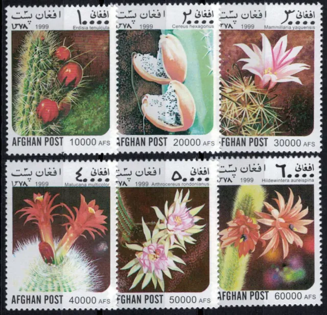 Afghanistan Flowering Cactus MNH Desert Plants Zayix 1123S0002