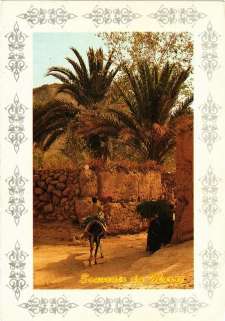 CPM AK MAROC Le Sud du Maroc-Pittoresque et authenticite (343297)