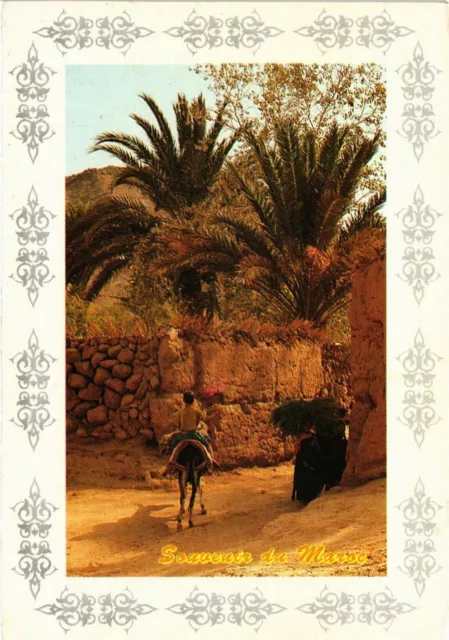 CPM AK MAROC Le Sud du Maroc-Pittoresque et authenticite (343297)