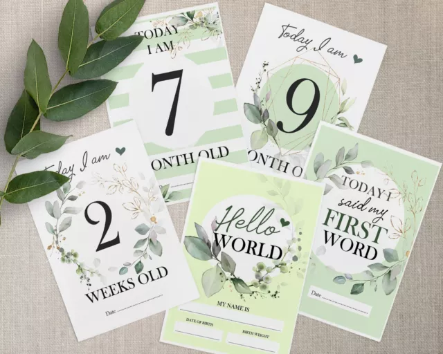 Eucalyptus Milestone Cards • Baby Memory Cards •  Baby Gift • 1st Year