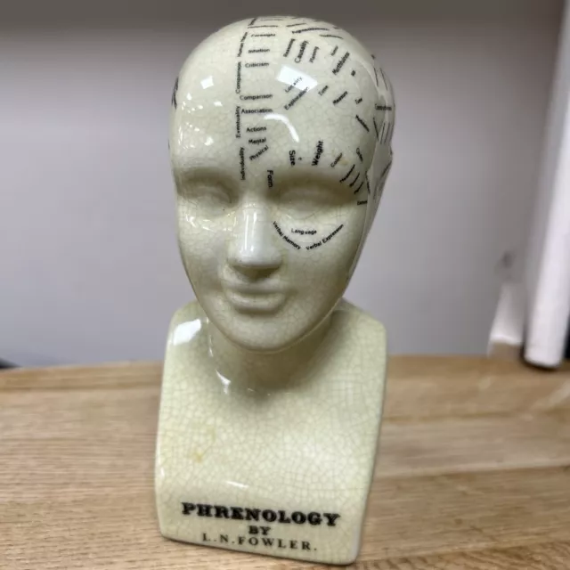 Small Vintage Ceramic Phrenology Head L N Fowler