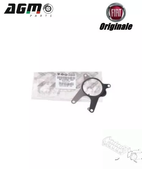 Guarnizione Pompa Per Vuoto Originale Fiat 500L Bravo Doblo 1,6 Mjt 71779194