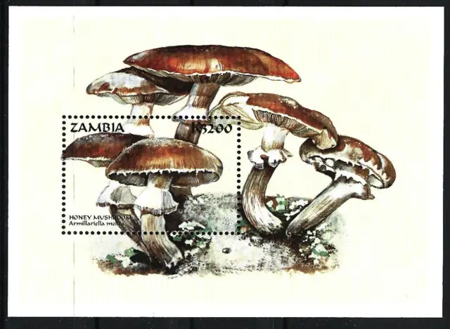 Sambia - Pilze aus aller Welt Block 44 postfrisch 1998 Mi. 857