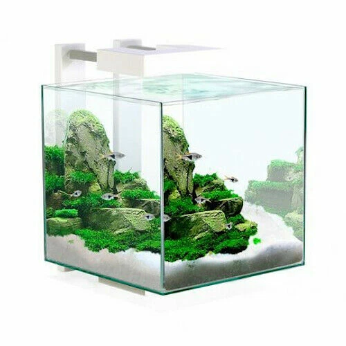 Ciano Shrimp Aquarium Tank NEXUS 15 with CF40 Internal Filter Led Lighting 14.5L