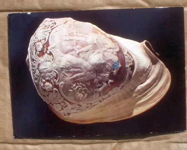 Delaware DE Museum Natural History Carved Helmet Shell  Vtg 1991 Postcard
