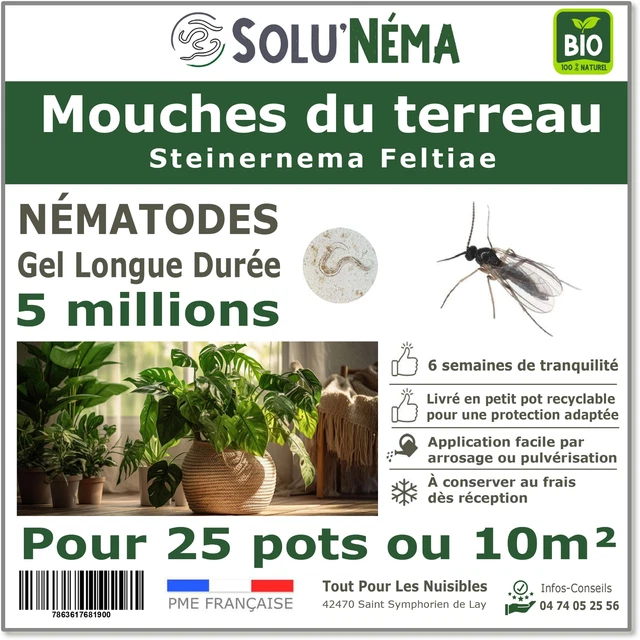 Insecticide Papillon Du Palmier Nématodes Traitement Palmiers Insecticide Papillon Du Palmier Nématodes Traitement Palmiers