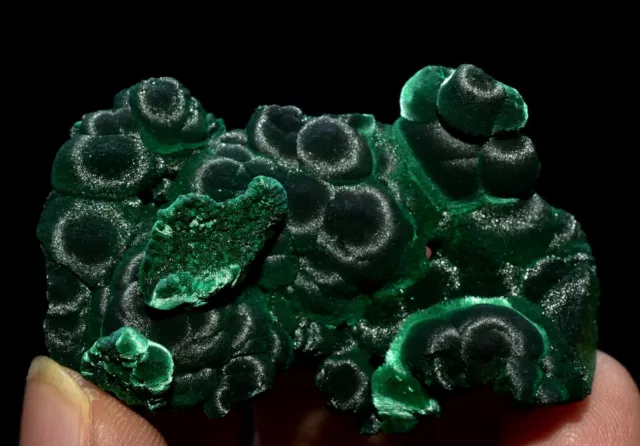 26g Top-Natural Malachite Crystal cat's eye Rare Mineral Specimens Collectio