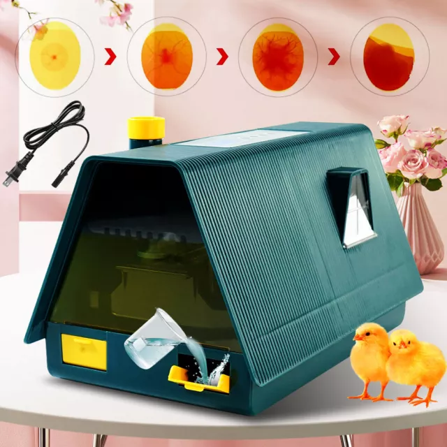 Incubadora digital de 10 huevos visibles totalmente automática luz de giro de huevos humedad pollo 2