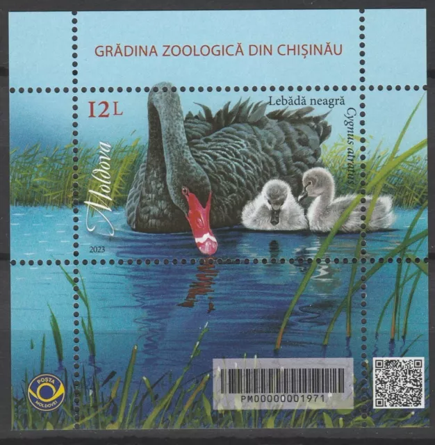 Moldova 2023 Birds, Black Swan MNH Block